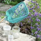 Business 9 image PUMA CARGO LTD Shipping & Forwarding Agents in Manchester La