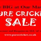 Business 1 image PURE CRICKET Team Sports in Sonning Be