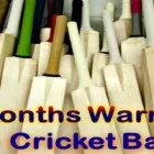 Business 2 image PURE CRICKET Team Sports in Sonning Be