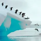 Business 2 image QAADIC TRAVEL LTD Wedding Services in Small Heath We