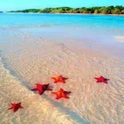 Business 4 image QAADIC TRAVEL LTD Wedding Services in Small Heath We