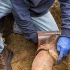 Business 1 image QUICK CLEAR DRAINAGE Drainage Contractors in London Gr