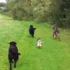 Business 2 image QUINT ESSENTIAL Hairdressers in Liverpool Me