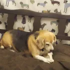 Business 3 image QUINT ESSENTIAL Hairdressers in Liverpool Me