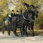 Business 7 image R DAVIES & SON FUNERAL DIRECTORS Monumental Masons & Memorials in Bishopsworth Br