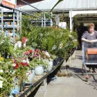 Business 1 image RAINBOW CHINESE TAKEAWAY Takeaway Food in Londonderry Co