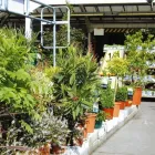 Business 3 image RAINBOW CHINESE TAKEAWAY Takeaway Food in Londonderry Co