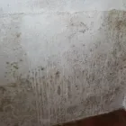 Business 1 image RANGUARD Property Maintenance Services in Hemel Hempstead He