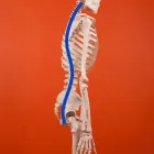 Business 18 image RAY HAQ SPORTS/ DEEP TISSUE MASSAGE, PHYSIO & HOLISTIC THERAPIES Sports Medicine in Manchester Gr