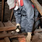 Business 4 image RENTOKIL PROPERTY CARE Damp Proofing & Control in Reading Be