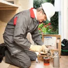 Business 7 image RENTOKIL PROPERTY CARE Damp Proofing & Control in Reading Be