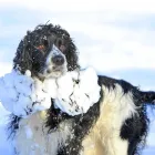 Business 1 image RICHARD WALKER PORTRAITS Wedding Services in Brough No