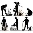 Business 4 image RICHARDSONS GARDEN MAINTENANCE Trees & Shrubs in SALE Ch