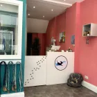 Business 5 image RIVERDOG STUDIO Pets & Animals in Richmond Gr