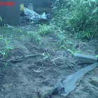 Business 20 image ROB'S CLEARANCES Domestic Waste Disposal in Llanelli Dy