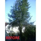 Business 21 image ROB'S CLEARANCES Domestic Waste Disposal in Llanelli Dy