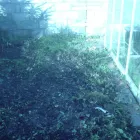 Business 14 image ROB'S CLEARANCES Domestic Waste Disposal in Llanelli Dy