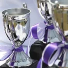 Business 2 image ROOK'S TROPHIES Shopping & Retail in Llanelli Dy