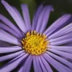 Business 1 image ROSEWOOD OFFICE FURNITURE Home Offices in FAREHAM Ha