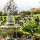 Business 2 image ROSSENDALE PET CREMATORIUM AND MEMORIAL GARDENS Pets & Animals in Rossendale La