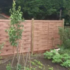 Business 1 image RRG TOYOTA New Car Dealers in Bolton La