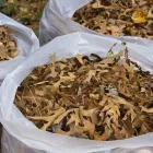 Business 1 image RUBBISH REMOVAL TWICKENHAM LTD. Scrap & Waste Merchants in Twickenham Mi