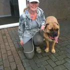 Business 5 image SANTANDER AGENCY Banks & Financial Institutions in Brough No