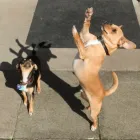 Business 6 image SANTANDER AGENCY Banks & Financial Institutions in Brough No