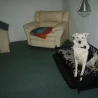 Business 8 image SANTANDER AGENCY Banks & Financial Institutions in Brough No