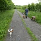 Business 9 image SANTANDER AGENCY Banks & Financial Institutions in Brough No