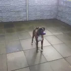 Business 2 image SANTANDER AGENCY Banks & Financial Institutions in Brough No