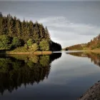 Business 16 image SARAH LLOYD PHOTOGRAPHY Wedding Services in Bolton Gr