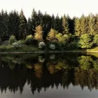 Business 17 image SARAH LLOYD PHOTOGRAPHY Wedding Services in Bolton Gr