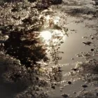 Business 19 image SARAH LLOYD PHOTOGRAPHY Wedding Services in Bolton Gr