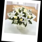 Business 1 image SCULPTURES Hairdressers in Wigan La