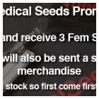 Business 10 image SENSIBLE SEEDS Wholesale Trade in Farnham Su