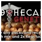 Business 18 image SENSIBLE SEEDS Wholesale Trade in Farnham Su