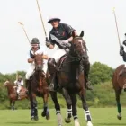 Business 6 image SERIOUSLY COOL EVENTS Steakhouses in Lymington Ha