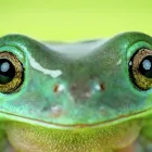 Business 3 image SEVEER MEDIA LTD Tv in Manchester La