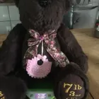 Business 10 image SEW SO NICE Toys & Games Shops in Kidwelly Dy