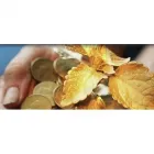 Business 6 image SHOE ZONE Shoe Shops in Wigan La