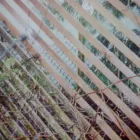 Business 27 image SHU SHU Shoe Shops in Pinner Mi