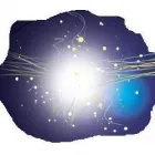 Business 6 image SHU SHU Shoe Shops in Pinner Mi