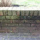 Business 14 image SHU SHU Shoe Shops in Pinner Mi