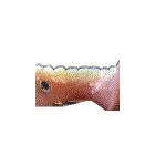 Business 5 image SOUTH LONDON TAXIS LTD Garage Services in Croydon Su