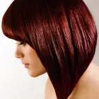 Business 12 image SOUTHVIEW CONSULTANTS LTD Bookkeeping Services in Farnham Su