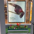 Business 10 image SPECSAVERS OPTICIANS AND AUDIOLOGISTS - HARROW WEALD Sunglasses in Harrow Gr