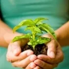 Business 1 image SPIRE LEEDS HOSPITAL Physiotherapists in Leeds We