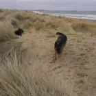 Business 10 image SPRING SHADES LTD Textile Services & Supplies in Leicester Le