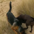 Business 11 image SPRING SHADES LTD Textile Services & Supplies in Leicester Le